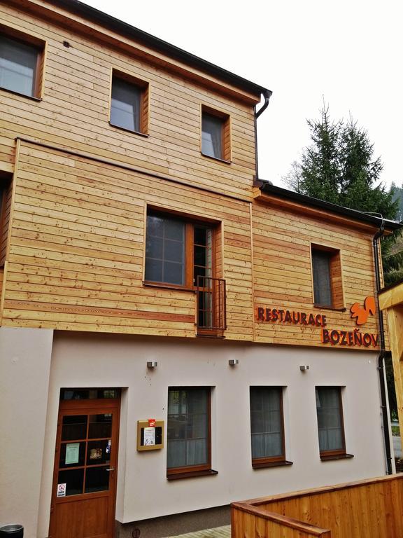 Wellness Hotel Bozeňov Zábřeh Exterior foto